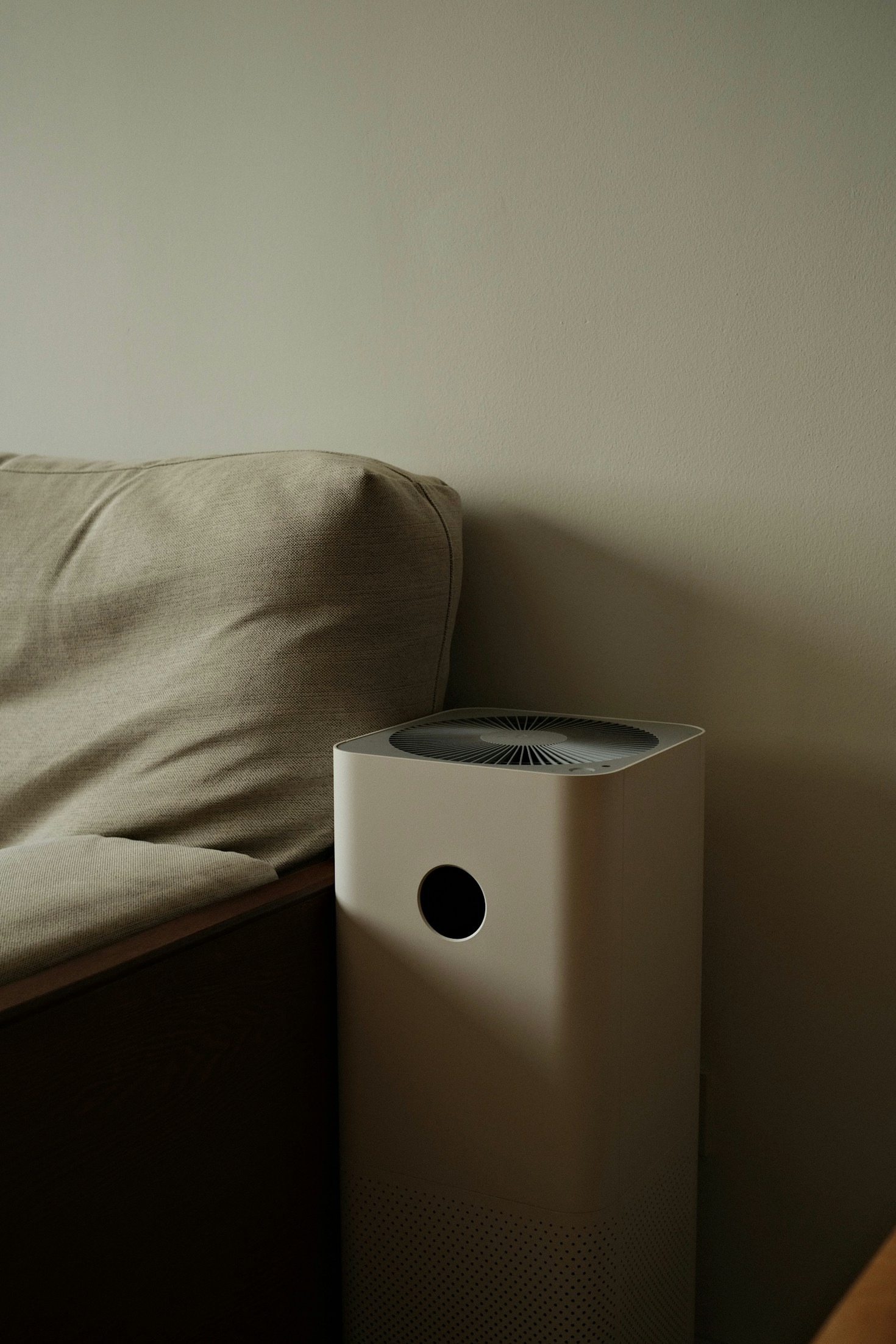 The Top 5 Air Purifiers for Allergy Sufferers